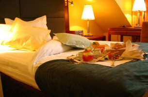 noclegi pokoje apartamenty restauracja hotel WILGA Polska Katowice lotnisko